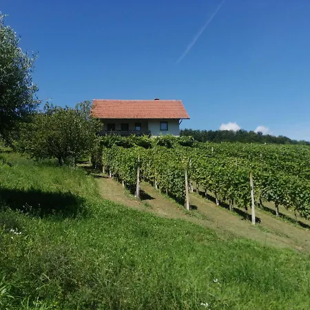 Apartma Gorca Plevnik * Buce