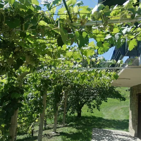 Apartma Gorca Plevnik Casa de Férias *