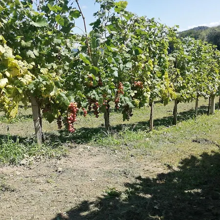 Apartma Gorca Plevnik