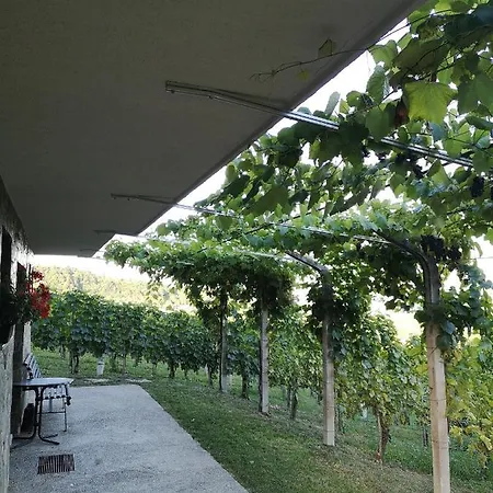 Apartma Gorca Plevnik *