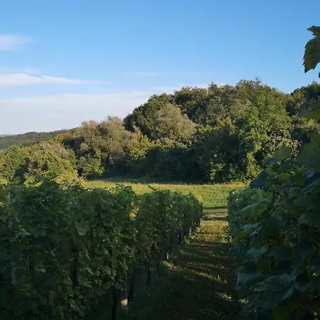 Casa de Férias Apartma Gorca Plevnik *