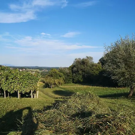 Holiday home Apartma Gorca Plevnik