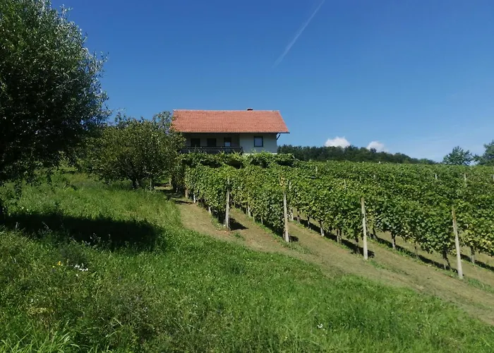 Apartma Gorca Plevnik * Buce