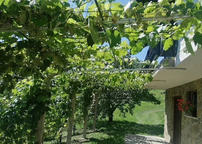 Apartma Gorca Plevnik 別荘 *