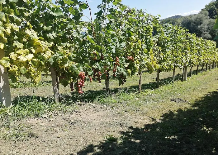 Apartma Gorca Plevnik