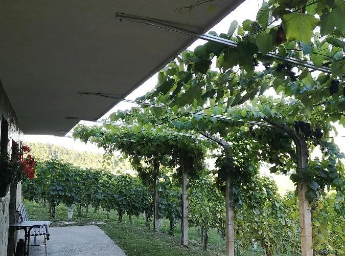 Apartma Gorca Plevnik *