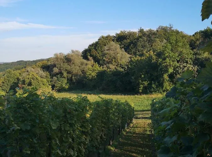 別荘 Apartma Gorca Plevnik *