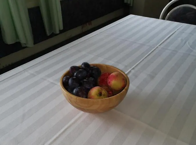 Apartma Gorca Plevnik Ferienhaus *