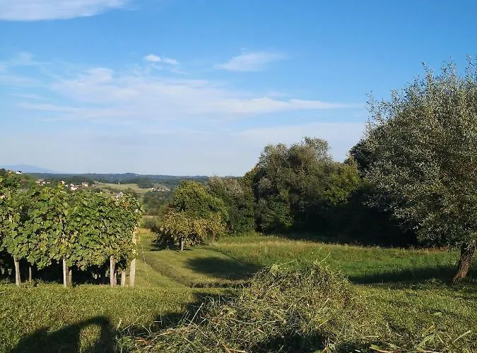 Ferienhaus Apartma Gorca Plevnik