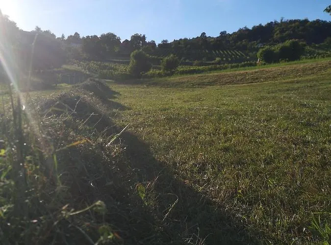 Apartma Gorca Plevnik Ferienhaus