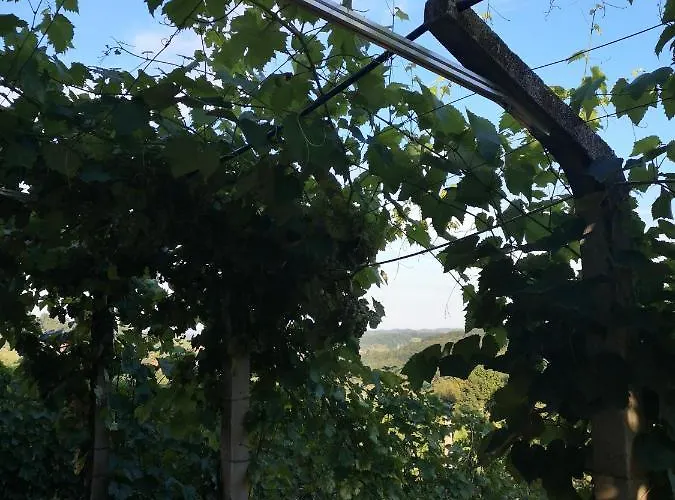 Apartma Gorca Plevnik * Buce