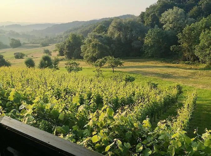 Apartma Gorca Plevnik *